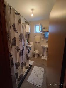 a bathroom with a shower curtain and a toilet at Apartman ASI in Mostar +18 photos