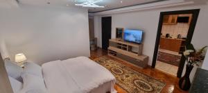 a living room with a white couch and a tv at Garsoniera central Otopeni in Otopeni