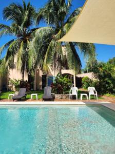 a pool with chairs and a table and palm trees at Coral Island Suites Cozumel in Cozumel
