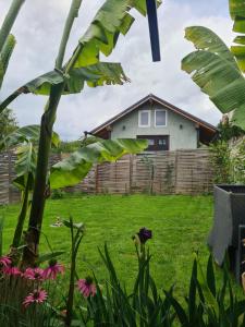 Zahrada ubytování Cozy Cottage - Free Parking, Self Check-in