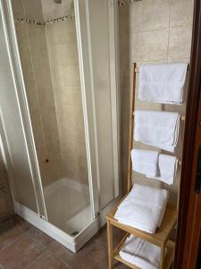 a bathroom with a shower and a rack of towels at Agriturismo Villa San Lorenzo in CastellʼArquato