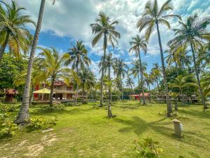 Un jardín fuera de Hotel Chiniu