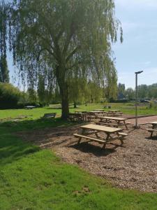 un gruppo di tavoli da picnic in un parco con un albero di Location de Mobilhomes 3 Chambres, camping 3 étoiles a Ivry-la-Bataille