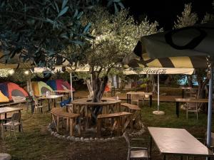Zahrada ubytování Oasis Camping