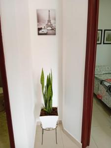Fotografie z fotogalerie ubytování Blooming House Melgar v destinaci Melgar + 3 fotografie
