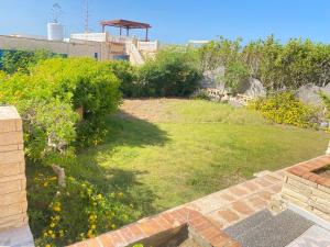 Κήπος έξω από το شالية