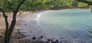Paesaggio naturale nelle vicinanze della villa