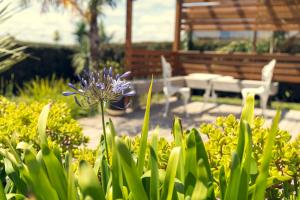 Um jardim em Elevated Family Sized Guest-house with Beautiful Views