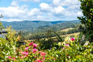 Paisagem natural perto da casa de hóspedes