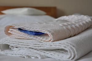 stos ręczników siedzących na łóżku w obiekcie Hotel Lions Plzen w Pilznie +22 zdjęcia