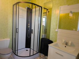 a bathroom with a shower and a toilet and a sink at Chambres Les Salles in Beauvoir