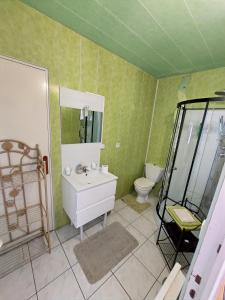 a bathroom with a sink and a shower and a toilet at Chambres Les Salles in Beauvoir