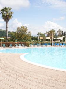 einen Pool in einem Resort mit Stühlen und einer Palme in der Unterkunft Anna's HOUSE Solarium Terrace in Pizzo