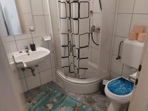 Koupelna v ubytování Rooms royal