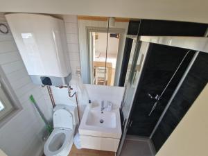 Koupelna v ubytování Vamandipity Vama Veche - Adult Only
