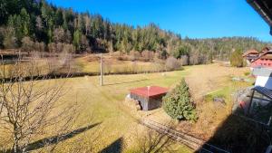 une vue aérienne sur un petit bâtiment dans un champ dans l'établissement Ferienwohnung Schwarzwaldsegen mit Balkon, à Todtmoos 5 autres photos