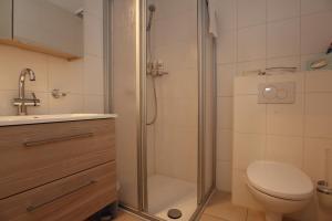 a bathroom with a shower and a toilet and a sink at Ferienwohnung Schwarzwald Oase - Todtmoos - Mein Schwarzwaldhäusle in Todtmoos