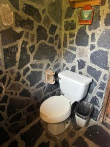 a bathroom with a white toilet and a stone wall at Román Cabañas del Mirador 4 in Pahuatlán del Valle