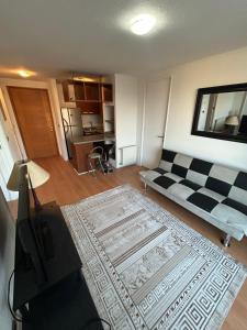 康塞普西翁Mirador Parque的带沙发和地毯的客厅