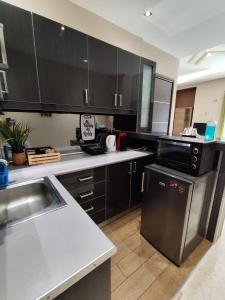 Kuchyň nebo kuchyňský kout v ubytování Elegant apartment close to Piraeus Port
