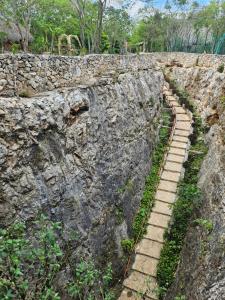 Foto  asuva majutusasutuse Spazi Ha Glamping & Cenote galeriist