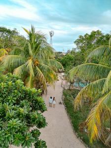 zwei Menschen, die einen Feldweg mit Palmen entlang gehen in der Unterkunft Casa del Tatich Lodge in Leona Vicario + 3 Fotos