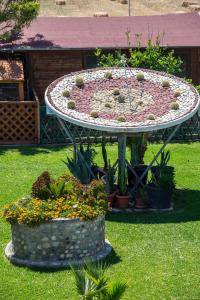 a table with plants on it in the grass at Akti Dimis Hotel in Tigaki