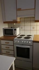a kitchen with a stove and a microwave at Arctic way in Sodankylä