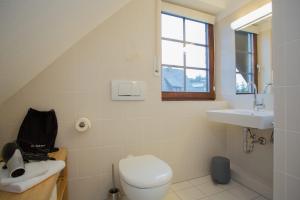 a bathroom with a toilet and a sink and a window at Bear Apartment am Skihang in Winterberg +13 photos