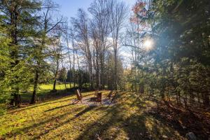 Příroda nedaleko prázdninového domu