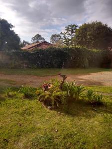 Vrt pred nastanitvijo Quarto curral mantiqueira
