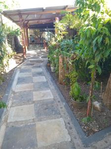 a stone walkway in a garden with trees and plants at Dimas Cottage in Senaru