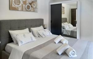 a bedroom with two beds and a large mirror at Cozy Home In Rastane Donje With Wifi in Donje Raštane