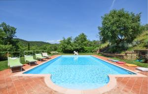 a swimming pool with chairs and a dog in the middle at Pet Friendly Home In Monte San Savino in Monte San Savino