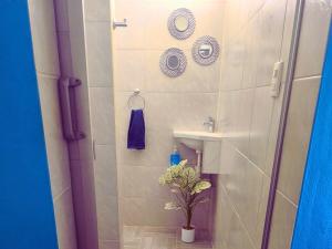 a small bathroom with a sink and a shower at Nuevo Depa Turquesa chic y súper cómodo in Ciudad Victoria