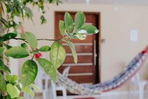Φωτογραφία από το άλμπουμ του Relaxe no frescor de Niterói στο Νιτερόι