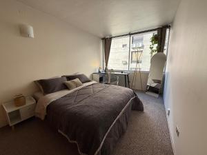 a bedroom with a large bed and a window at Modern refuge in the Heart of Providencia in Santiago