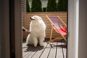 Fotografie z fotogalerie ubytování Czerwone Żagle Apartamenty Całoroczne v destinaci Władysławowo