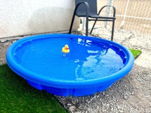 a toy rubber duck sitting in a pool of water at Lake View, Themed Rooms, King Beds, Fire Pit in Lake Havasu City