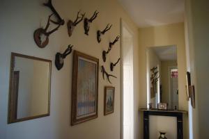 Foto dalla galleria di Chateau Neufays a Theux