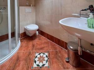 a bathroom with a toilet and a sink and a shower at Ferienwohnung Rieser Top 2 in Niederthai