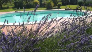 Bazén v ubytování Agriturismo La Dependance nebo v jeho okolí