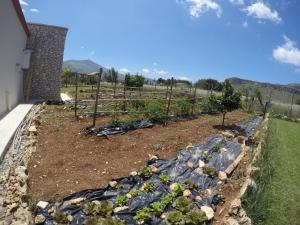 A garden outside Residence I Faraglioni