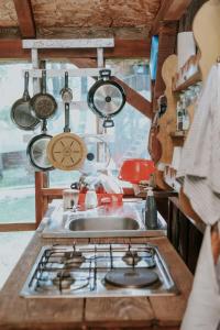 Afbeelding uit fotogalerij van Tesla`s Valley in Smiljan +58 foto's