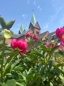 Zahrada ubytování Klosterhof Neustadt am Main