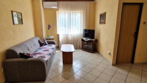 TV a/nebo společenská místnost v ubytování Apartman Merima