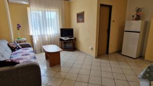 TV a/nebo společenská místnost v ubytování Apartman Merima