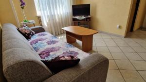 TV a/nebo společenská místnost v ubytování Apartman Merima