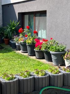Un jardín fuera de Appartement Ferienwohnung LANG