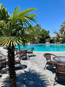 Басейн в Palma Village by Greek Pride Hotels або поблизу